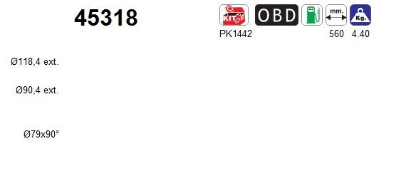 Katalizator AS 45318