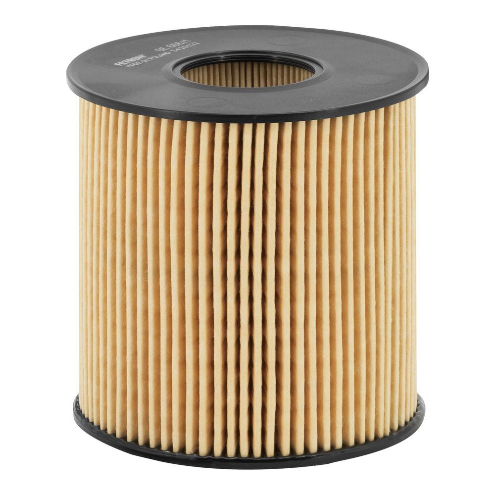 Levně Olejový filtr FILTRON OE 666/1