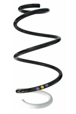 Arc spiral SPIDAN 87877