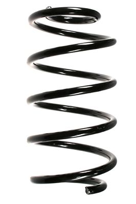 Arc spiral SPIDAN 55325