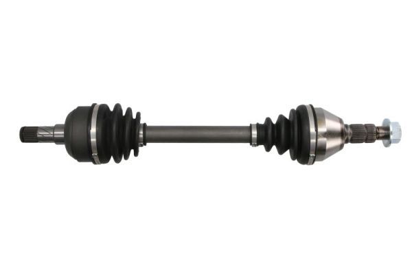 Planetara PASCAL G2X100PC