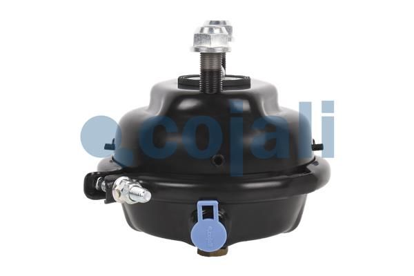 Cilindru receptor frana cu membrana COJALI 2351325