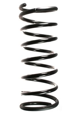 Arc spiral SPIDAN 49418