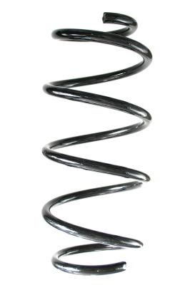 Arc spiral SPIDAN 88384