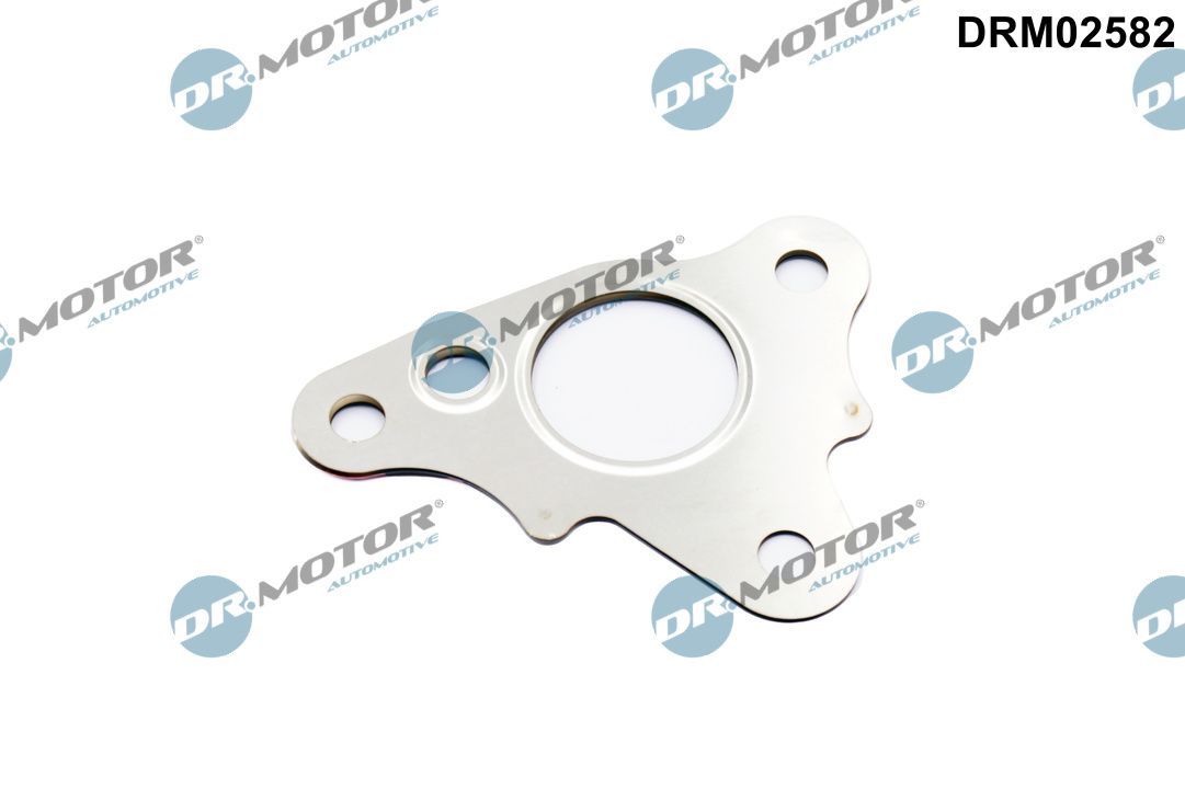 Garnitura, conducta supapa-AGR Dr.Motor Automotive DRM02582