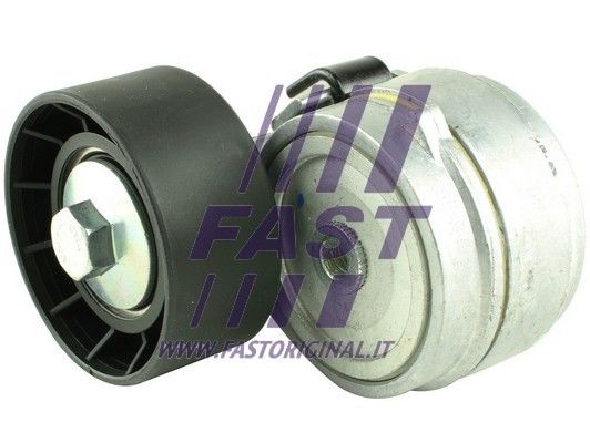 Napinacz paska klinowego wielorowkowego FAST FT44634