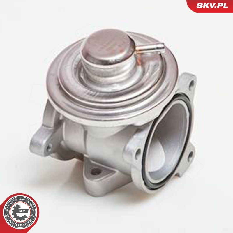 Levně AGR-Ventil ESEN SKV 14SKV034