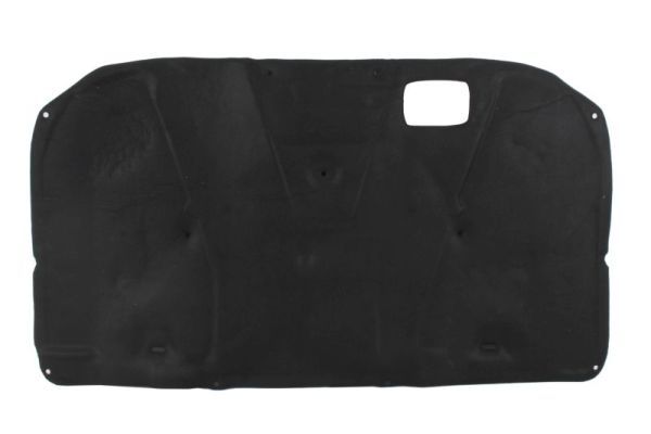 Изоляция моторного отделения