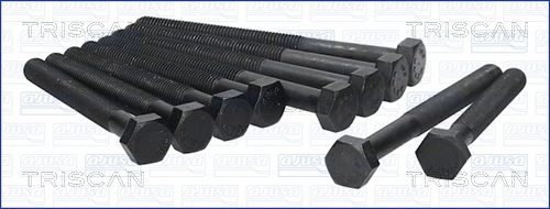 Zestaw śrub głowicy cylindrów TRISCAN 98-5007