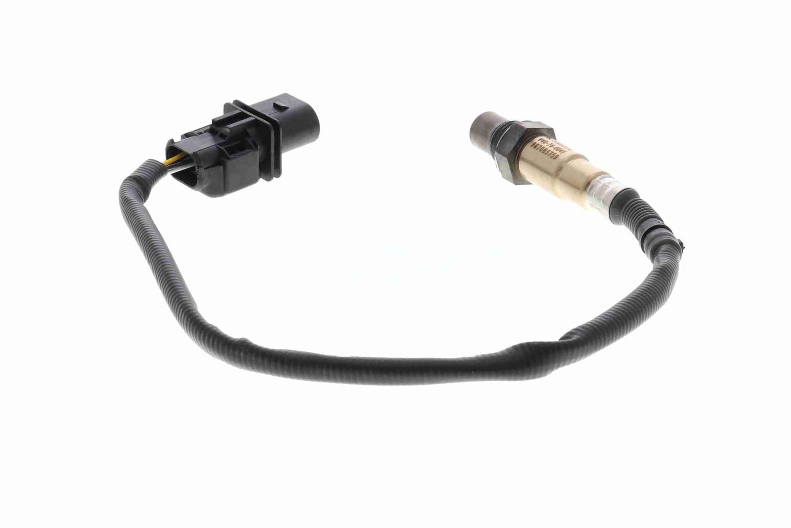 Sonde lambda