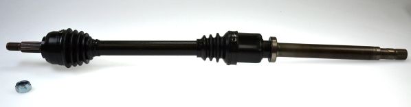 Planetara SPIDAN 24698