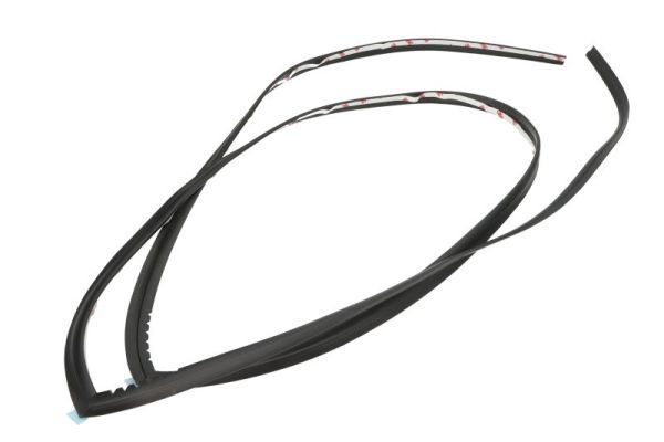 Elemente decorative/protectie, parbriz BLIC 5703-04-6037502Q