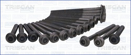 Zestaw śrub głowicy cylindrów TRISCAN 98-4107