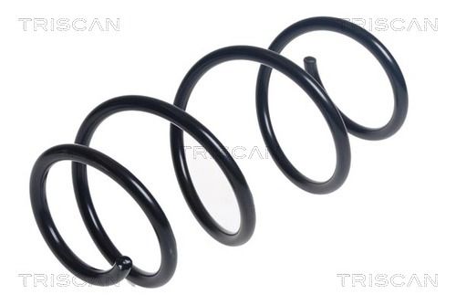 Arc spiral TRISCAN 8750 24212