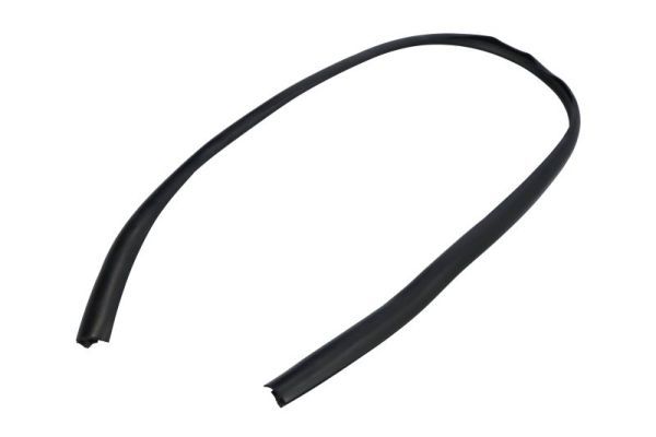 Elemente decorative/protectie, parbriz BLIC 5703-04-6037603Q