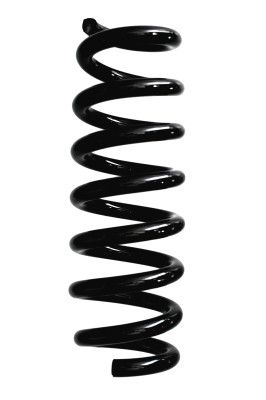 Arc spiral SPIDAN 87936