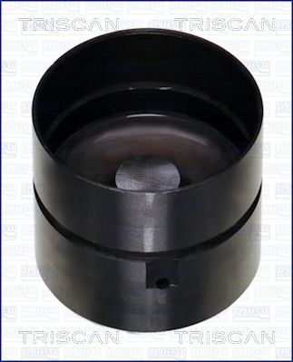 Popychacze zaworowe TRISCAN 80-23002