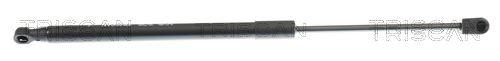 Amortizor portbagaj TRISCAN 8710 43212