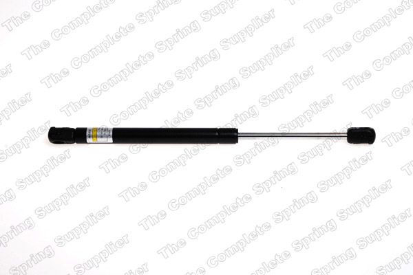 Gaasivedru, pagasi-/veoruum