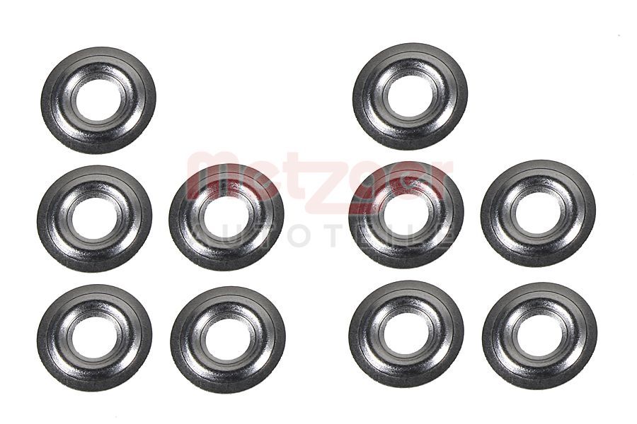 Kaitseseib,sissepritsesüsteem