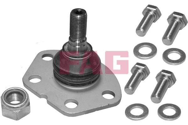 Przegub mocujący / prowadzący SCHAEFFLER FAG 825031810