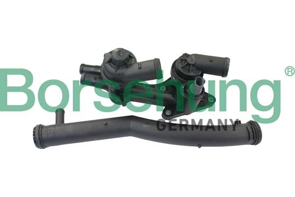 termostat,lichid racire BORSEHUNG B19086