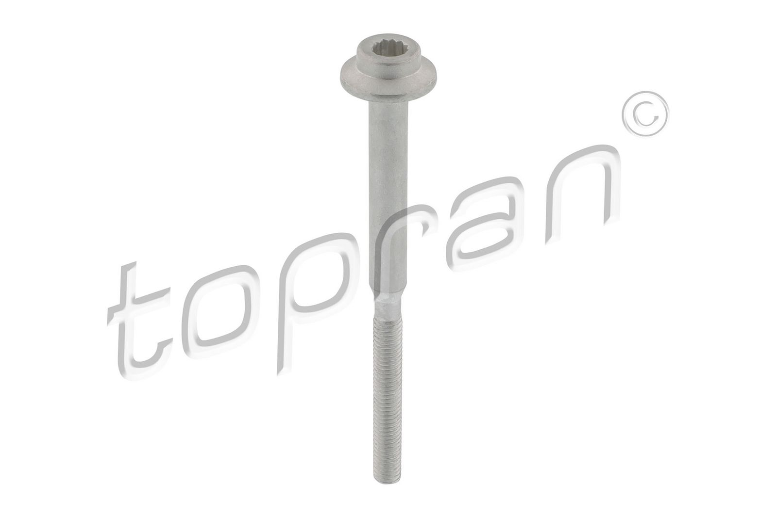 Surub, suport injector TOPRAN 120 664