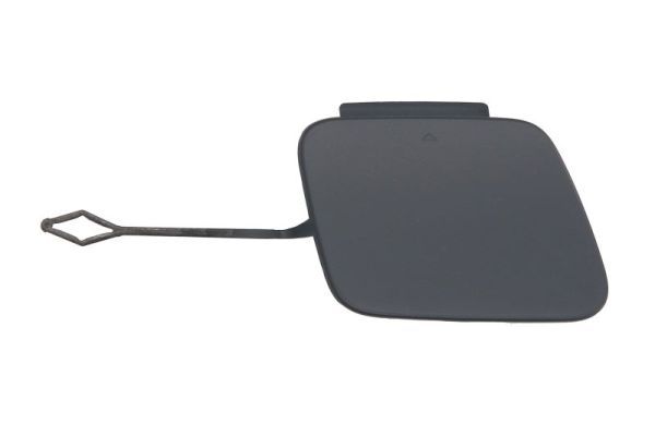 acoperire tampon,sistem de remorcare BLIC 5513-00-0078921P