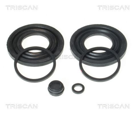 Zestaw naprawczy, zacisk hamulca TRISCAN 8170 203210