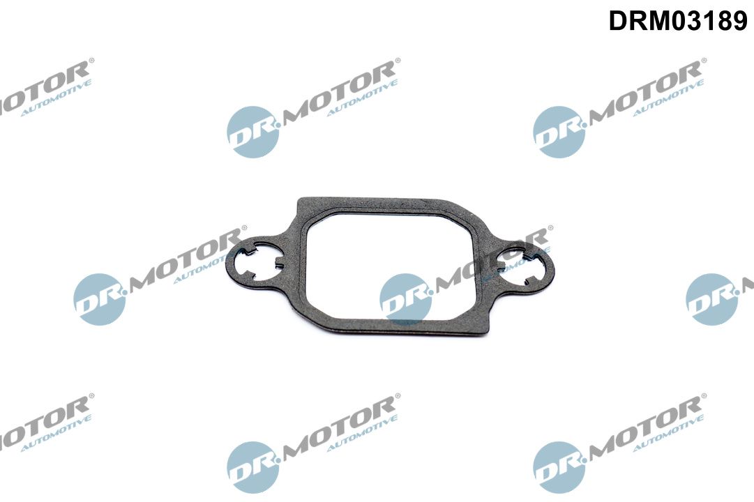 Garnitura, ventil AGR Dr.Motor Automotive DRM03189