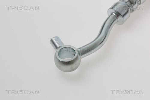 Levně Brzdová hadice TRISCAN 8150 18229
