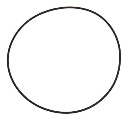 Těsnící kroužek ELRING 126.001