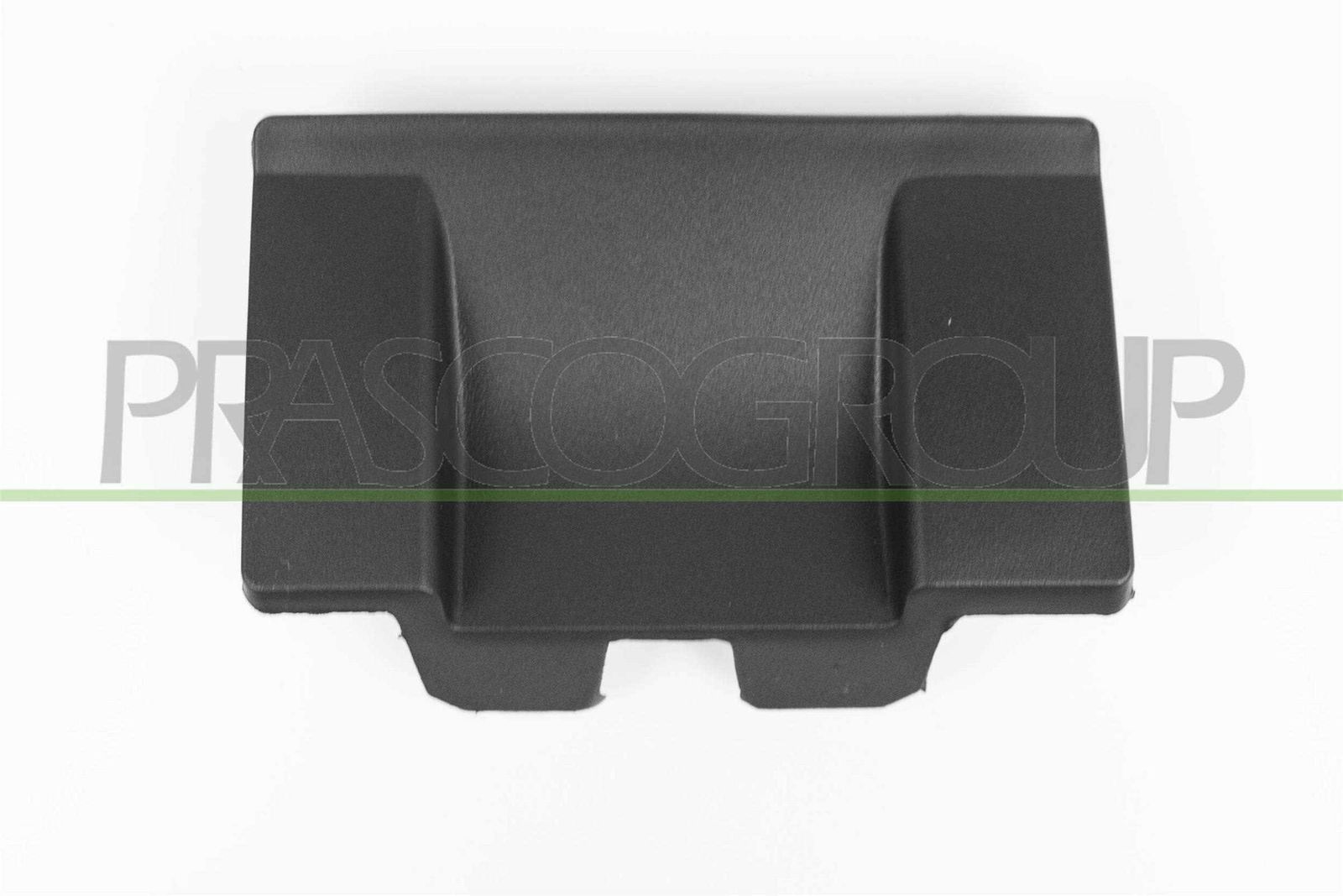 Suport, grila readiator PRASCO PG4302101