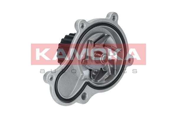 Pompă de apă, răcire motor KAMOKA T0076