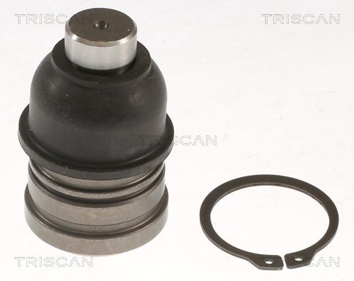 Przegub mocujący / prowadzący TRISCAN 8500 42562