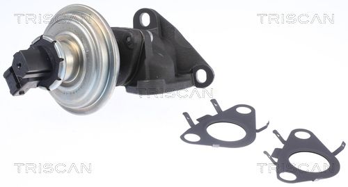 Zawór AGR TRISCAN 8813 11010
