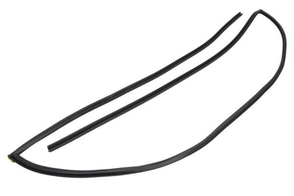 Elemente decorative/protectie, parbriz BLIC 5703-04-6037930Q