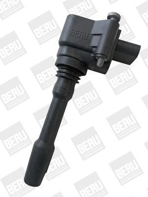 Levně Zapalovací cívka BorgWarner (BERU) ZSE163