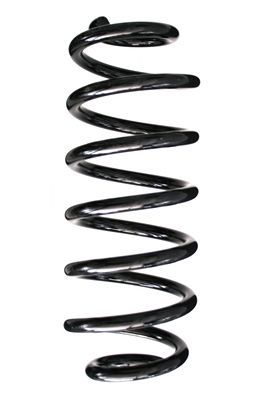 Arc spiral SPIDAN 86952