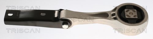 Końcówka drążka kierowniczego poprzecznego TRISCAN 8500 29161
