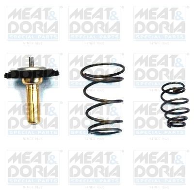 Termostat, środek chłodzący MEAT & DORIA 92717IN