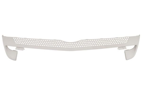 Grille de radiateur