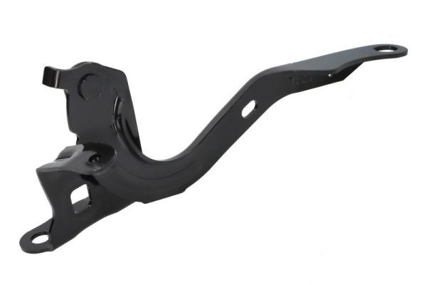 Zawias maski 53420-02540