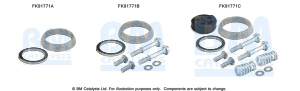 Zestaw montażowy, katalizator BM CATALYSTS FK91771