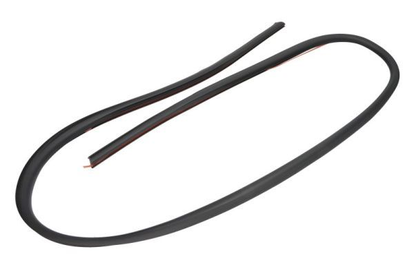 Elemente decorative/protectie, parbriz BLIC 5703-04-6037433Q