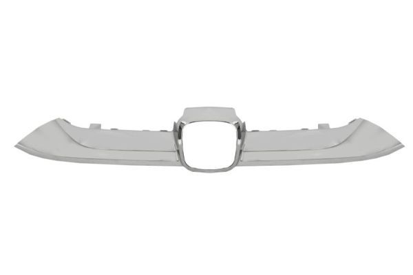 Banda de protectie, grila radiator BLIC 6502-07-2951990P