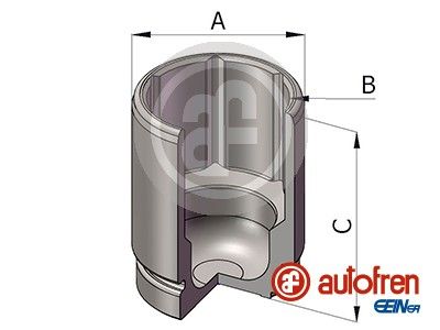 Tłoczek, zacisk hamulca AUTOFREN SEINSA D025974