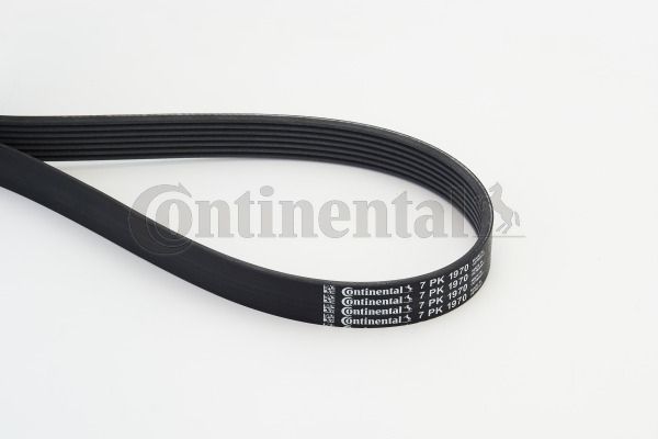 Pasek klinowy wielorowkowy CONTINENTAL CTAM 7PK1970