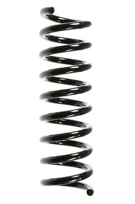 Arc spiral SPIDAN 49702