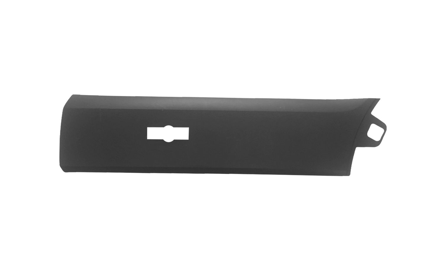 Elemente decorative/protectie, panou lateral POLIPLAST 100.19843